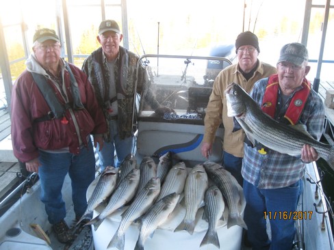 Nice Striped Bass